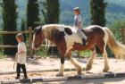 Ferien mit Pferden in der Toskana Italien